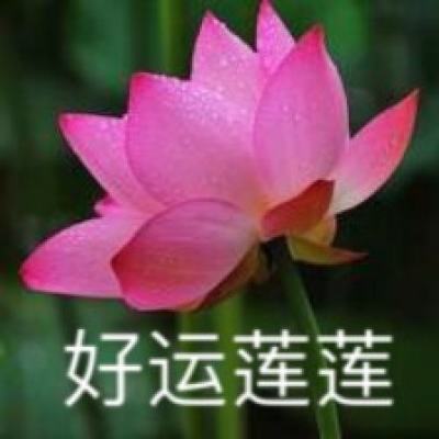 佐佐木希种子 中国有限公司官网